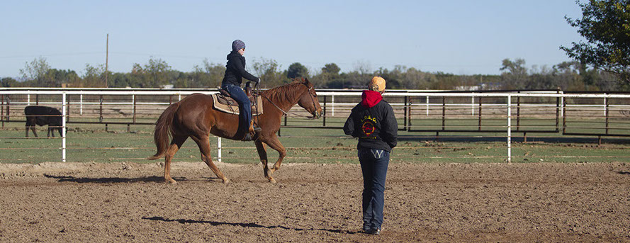 Double T Quarter Horses- Training